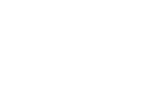 Review and Inspection